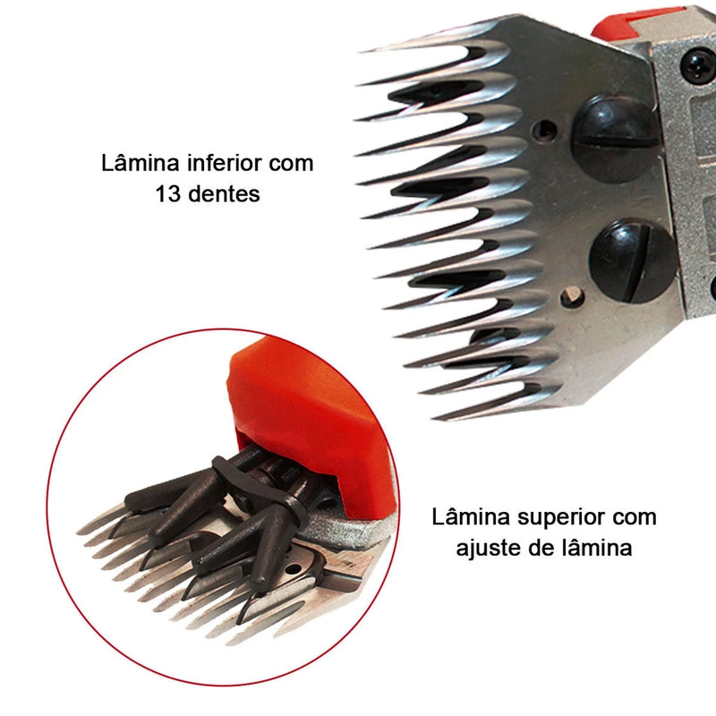 Tosquiadeira - 110v/220v - 1000w - Bom Galope